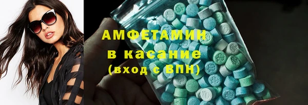 шишки Верея