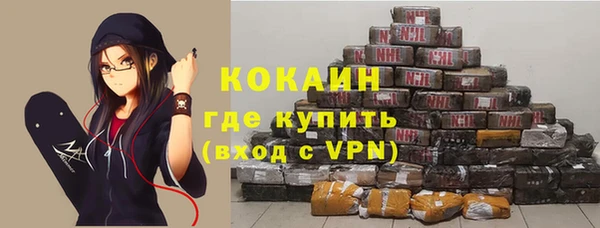 шишки Верея