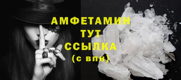 шишки Верея