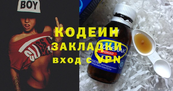 шишки Верея