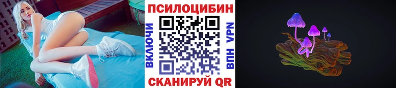 цены   Избербаш  Галлюциногенные грибы Cubensis 