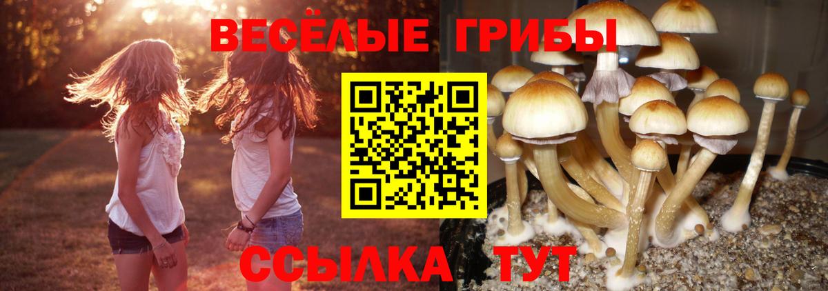 Псилоцибиновые грибы Psilocybine cubensis  Вход с VPN  Избербаш  Галлюциногенные грибы Cubensis 