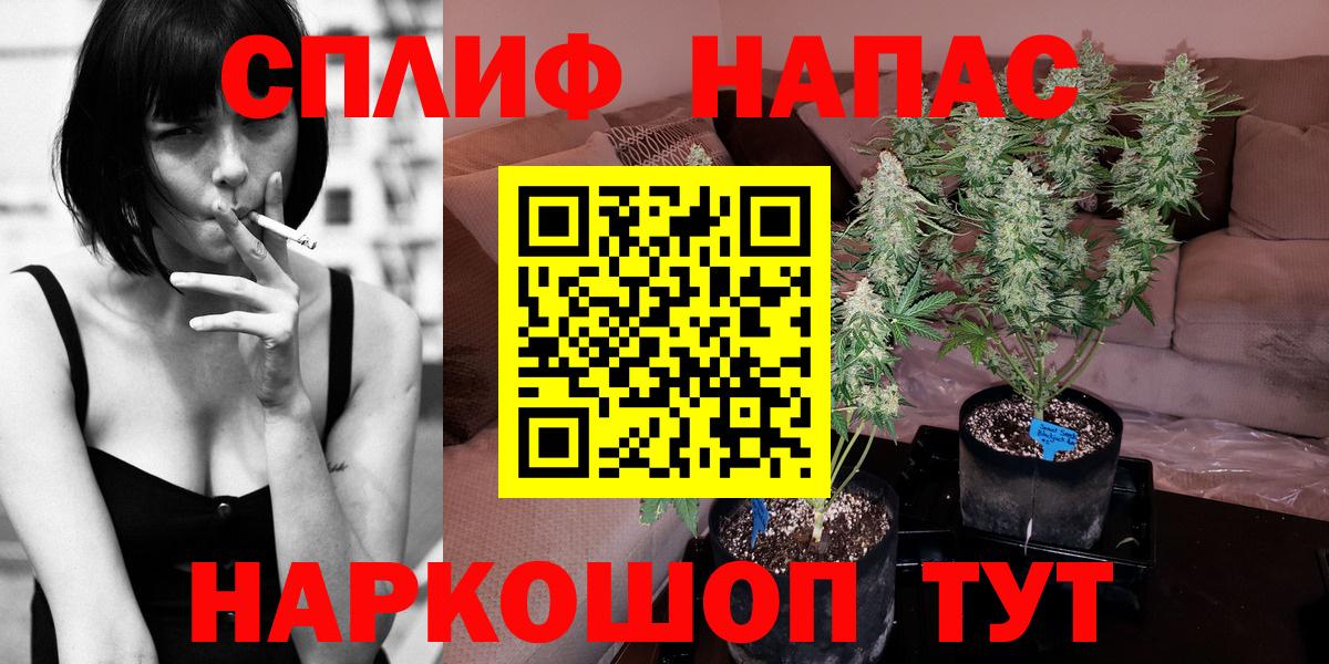 Конопля ГИДРОПОН  Каннабис Amnesia  Избербаш  Вход с VPN  Канабис OG Kush  Конопля OG Kush 